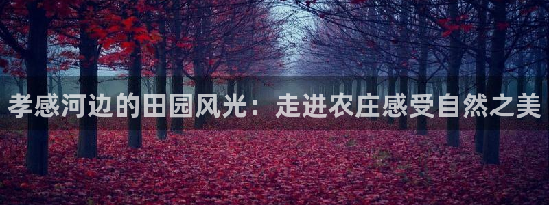 义乌摩根国际娱乐会所