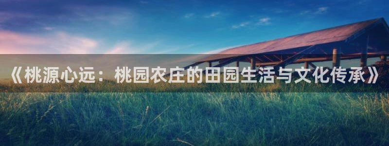 武汉摩根众睿娱乐