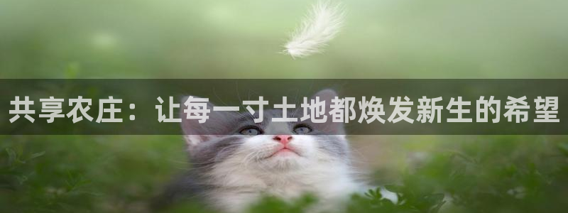 摩根100娱乐会所