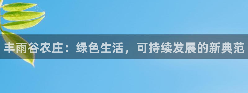 摩根360休闲娱乐