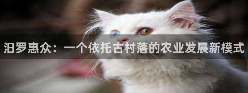 长春拉图摩根附近娱乐