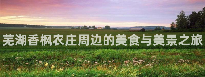 摩根娱乐50186加