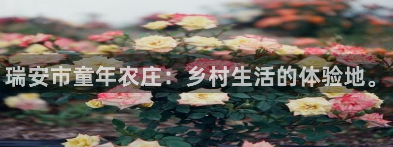 嘉兴摩根大饭店 娱乐