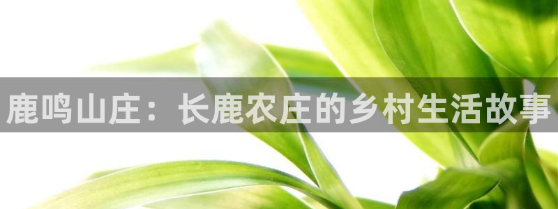 摩根大通收购娱乐公司