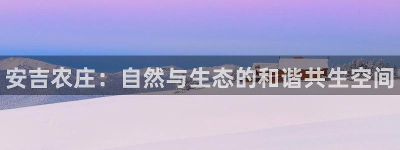 摩根娱乐挂机项目有哪些