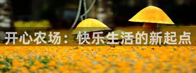 义乌摩根娱乐会所地址