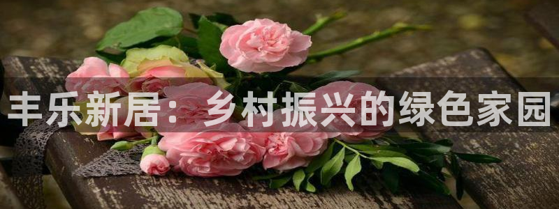 摩根娱乐50186叩杨