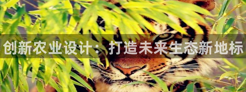 摩根娱乐宝是合法吗