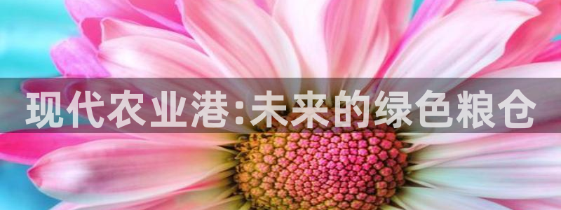 摩根娱乐彩票挂机