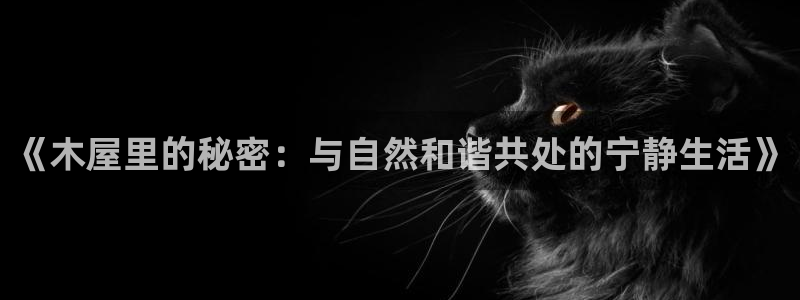 长春拉图摩根附近娱乐