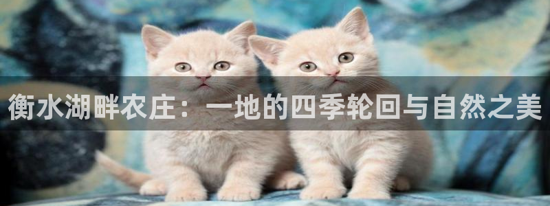 摩根娱乐云挂机项目怎么下载