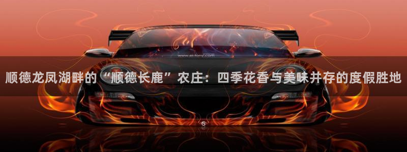 摩根娱乐是什么