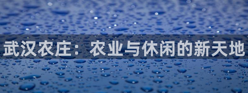 摩根娱乐宝打不开