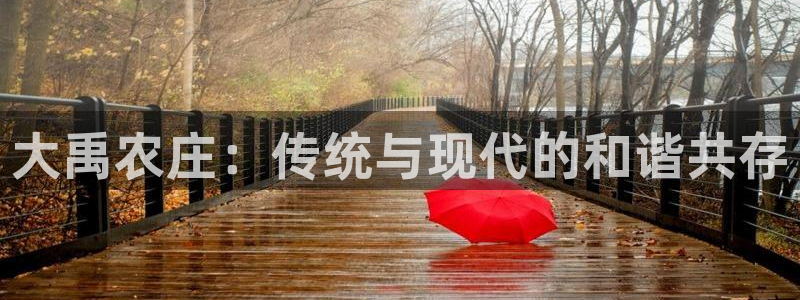 摩根娱乐L老L板50820