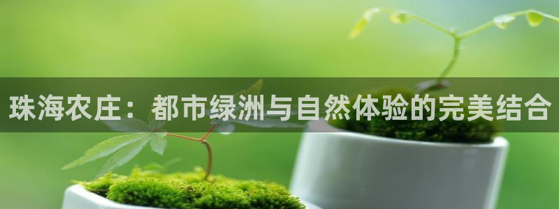 义乌摩根娱乐会所