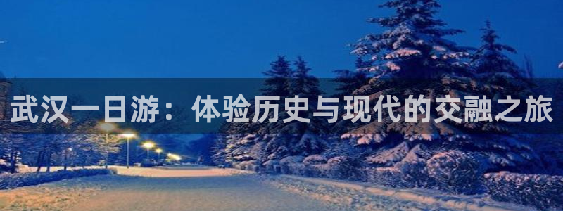 摩根娱乐宝k线图