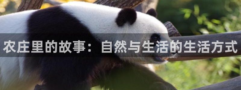 义乌摩根娱乐会所价格