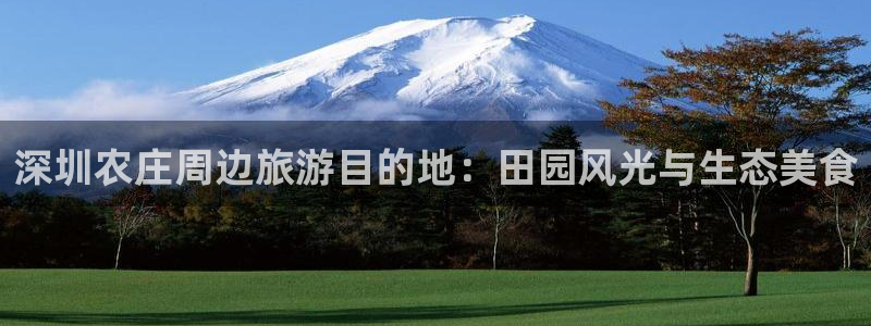 摩根娱乐宝官网百度