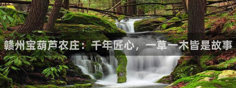 摩根娱乐宝怎么提现