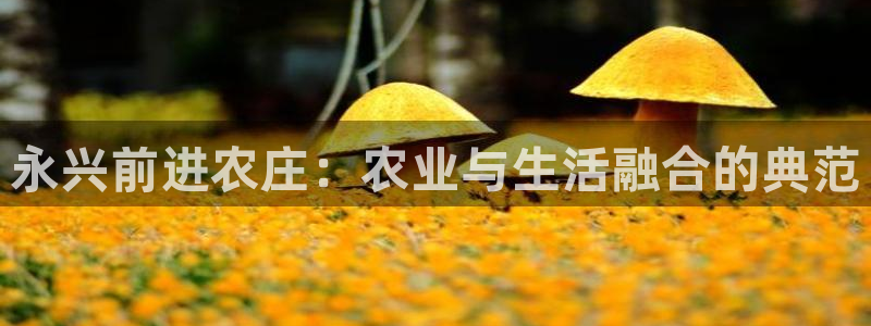 摩根娱乐是骗局吗?