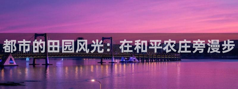 摩根100娱乐会所