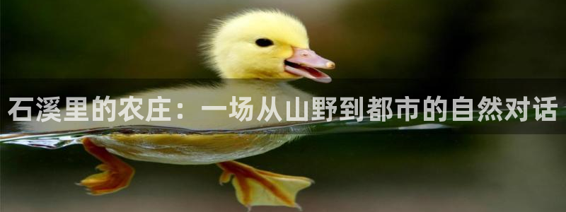 摩根娱乐宝是诈骗吗