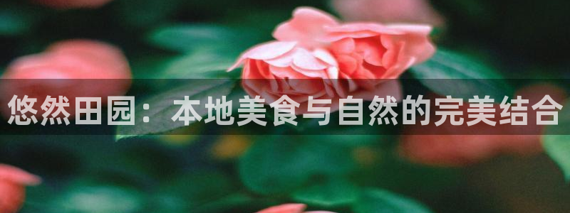 摩根 娱乐宝骗了我