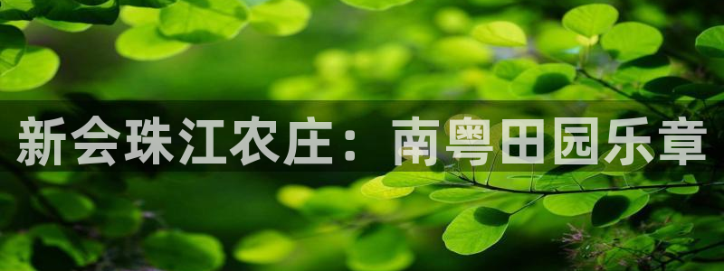 摩根娱乐官网