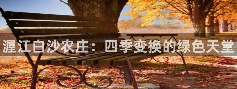 摩根娱乐↑总s管50015