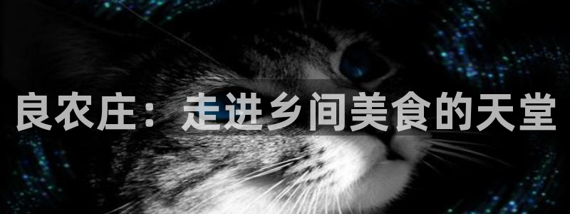摩根娱乐宝口碑