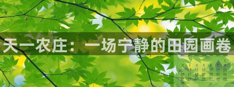 摩根空间附近休闲娱乐
