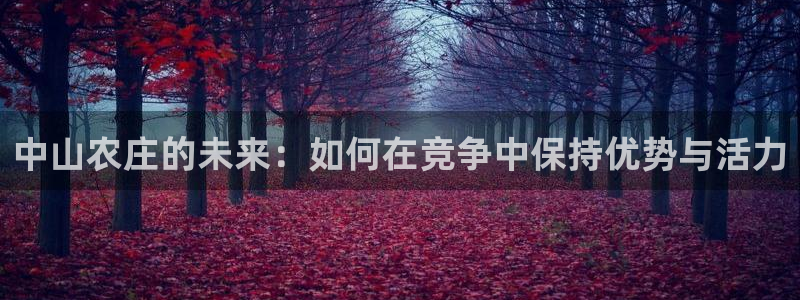 摩根娱乐宝与