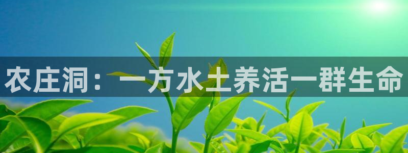 摩根娱乐宝.知道吗