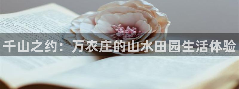 摩根娱乐宝正规吗