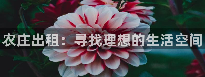 义乌摩根娱乐会所怎么样