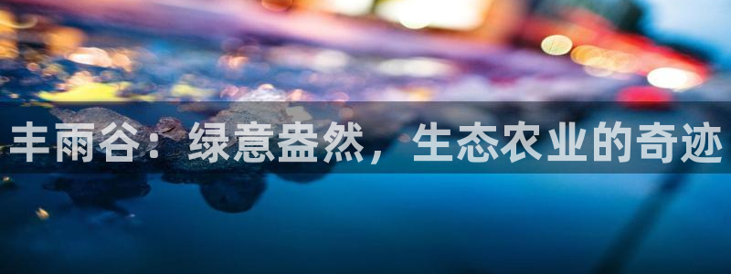 摩根娱乐宝怎么提现