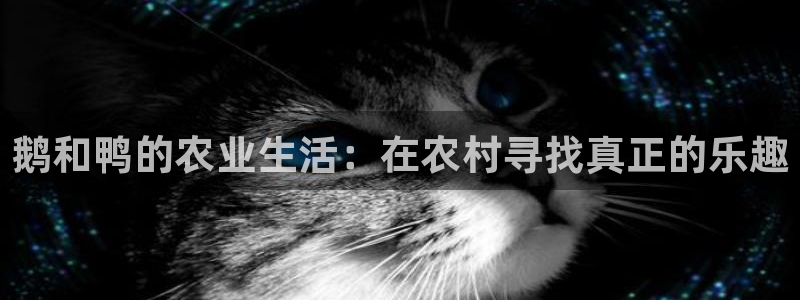 摩根娱乐是骗局吗