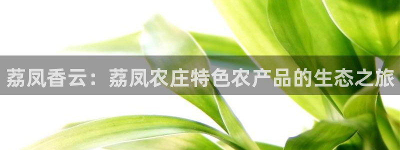 摩根娱乐宝官网下载