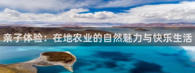 摩根娱乐宝总部