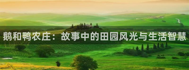 摩根娱乐50186找