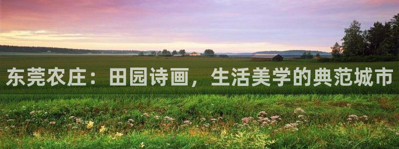 摩根娱乐宝是什么意思